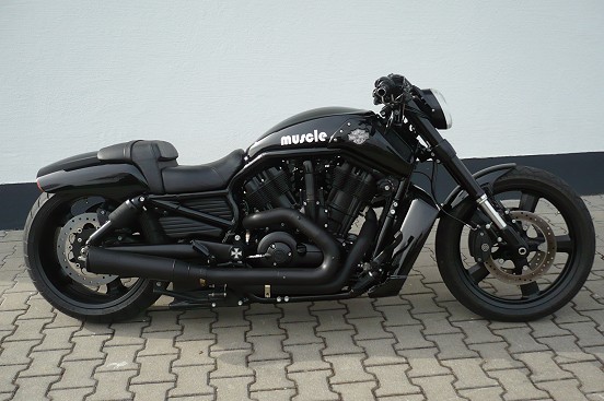  Muscle