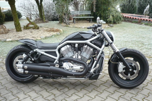  V-Rod