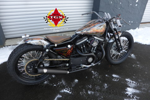  Sportster